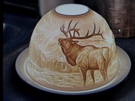 🎯Elch  Licht 3D Bild mit Teelicht