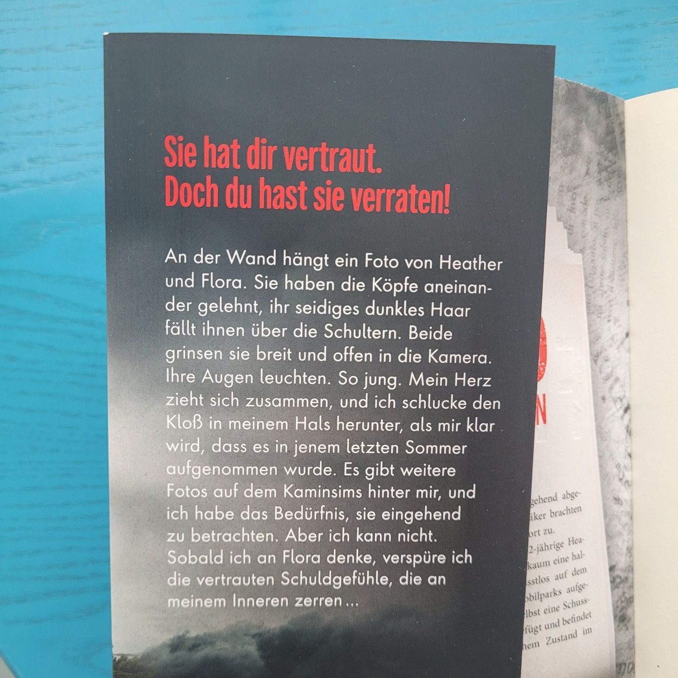 Bücher: Claire Douglas-Beste Freundin – Neu (gemäss Beschreibung) aus SCHÜBELBACH von CoKaHa 1