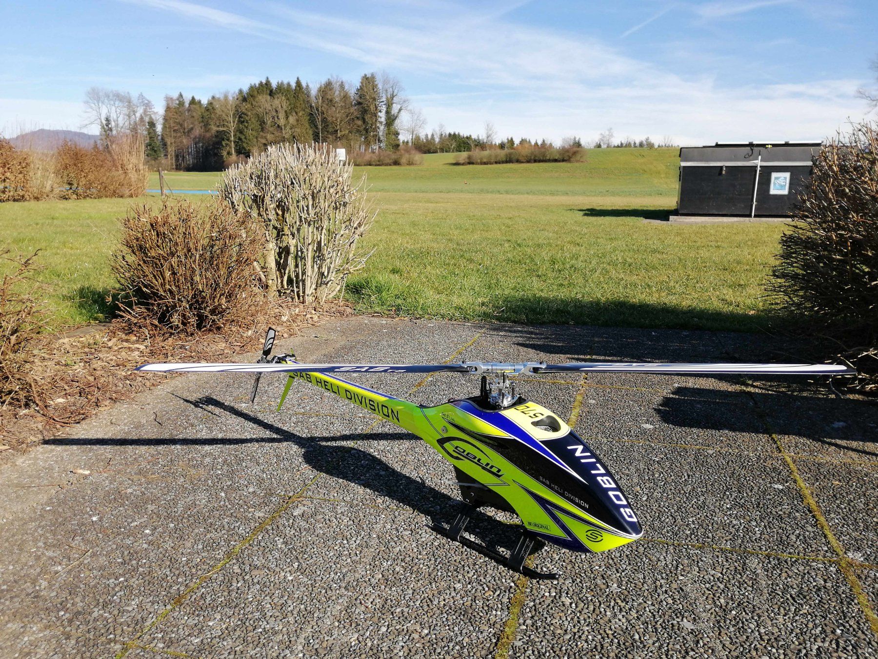 SAB Modellismo RC: SAB Goblin 570 – Usato da Steinhausen venduto da Josmann