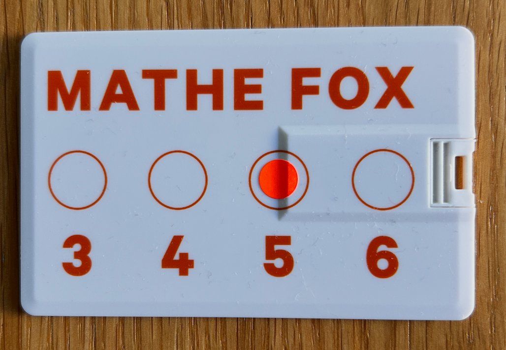 Chiavette USB: Mathe Fox 5 USB-Stick mit Übungsmaterial – Usato da Witterswil venduto da Caspar 1
