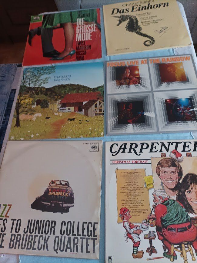 Dischi in vinile: Vinyl Schallplatten Sammlung – Usato da Nussbaumen AG venduto da Nmadona 2