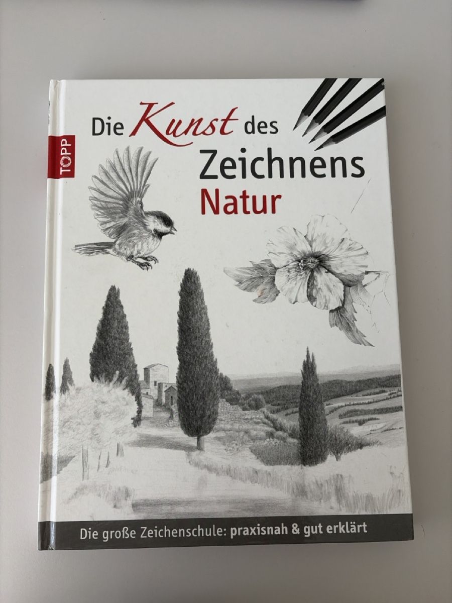 Libri: TOPP Art Book – Nuovo (secondo la descrizione) da Zug venduto da sel_lj9c
