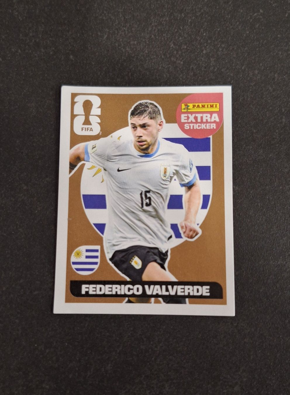 Panini Carte collezionabili: Panini Extra Sticker Federico Valverde 2026 – Nuovo (secondo la descrizione) da Basel venduto da Baslerin21