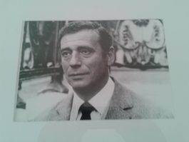 original Pressefoto Yves Montand