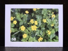 MIGROS MANIA Nature Detectives Nr. 58