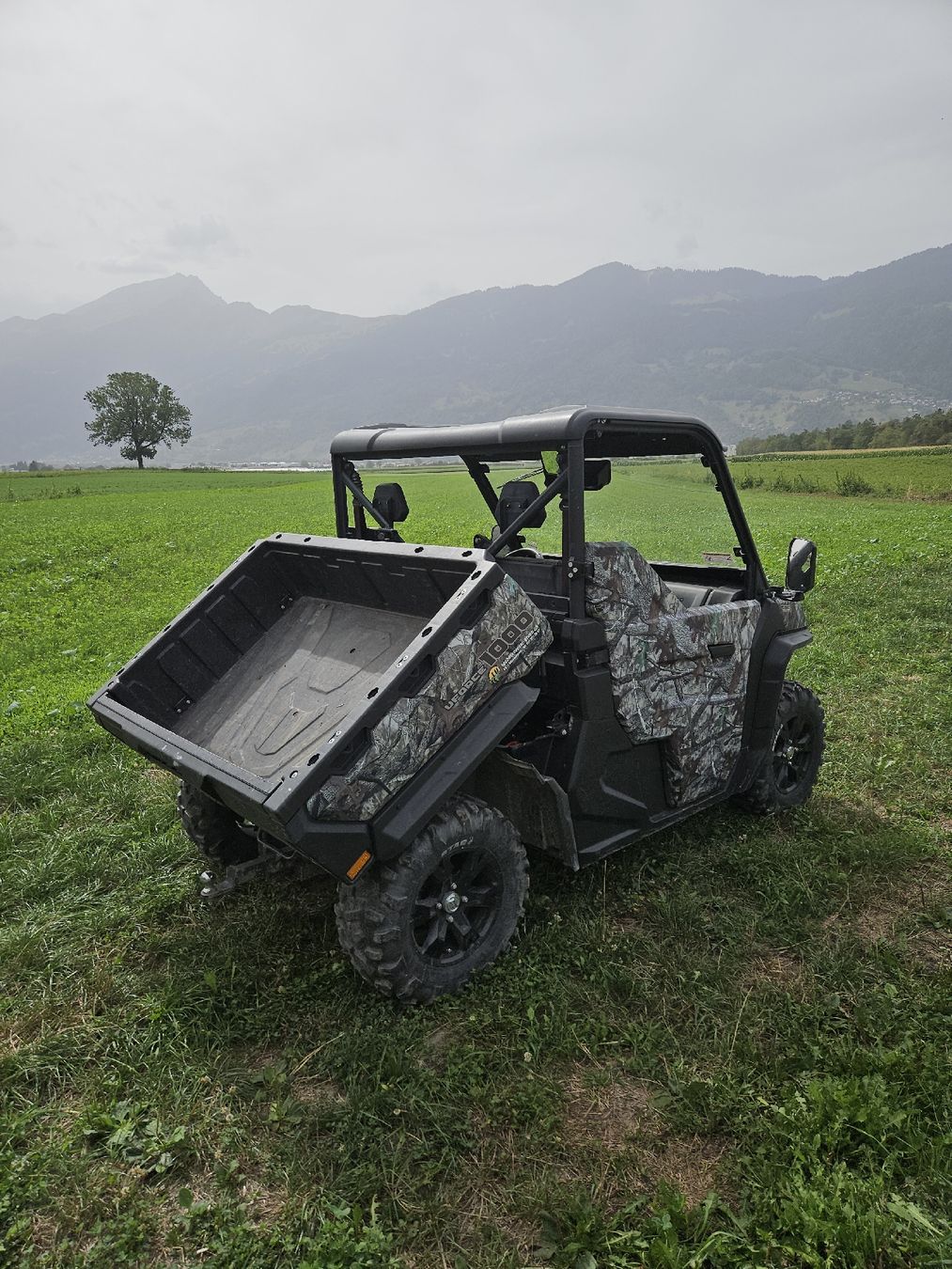Veicoli commerciali: ATV/ QUAT steht im Angebot – Usato da Seewis-Pardisla venduto da OBLI1 2