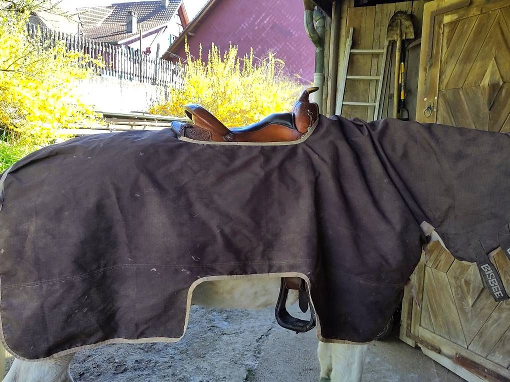 Coperte: Regendecke Ausreitdecke – Usato da Niederneunforn venduto da sonne067