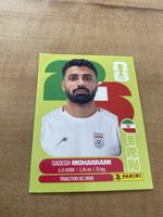 Panini Irn 9