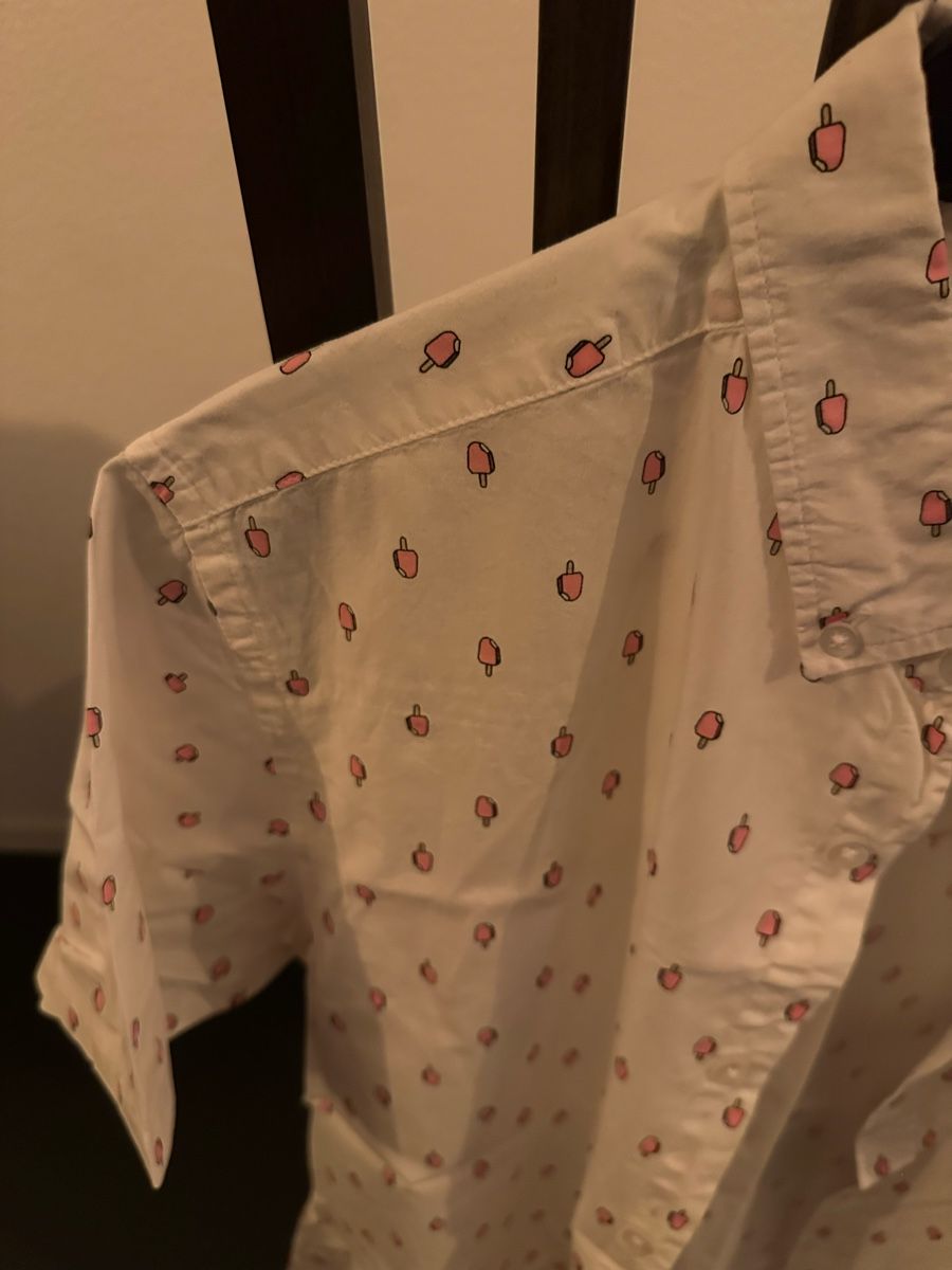 Camicie: 4x Coole Sommerhemden – Usato da Schlieren venduto da James1010 6