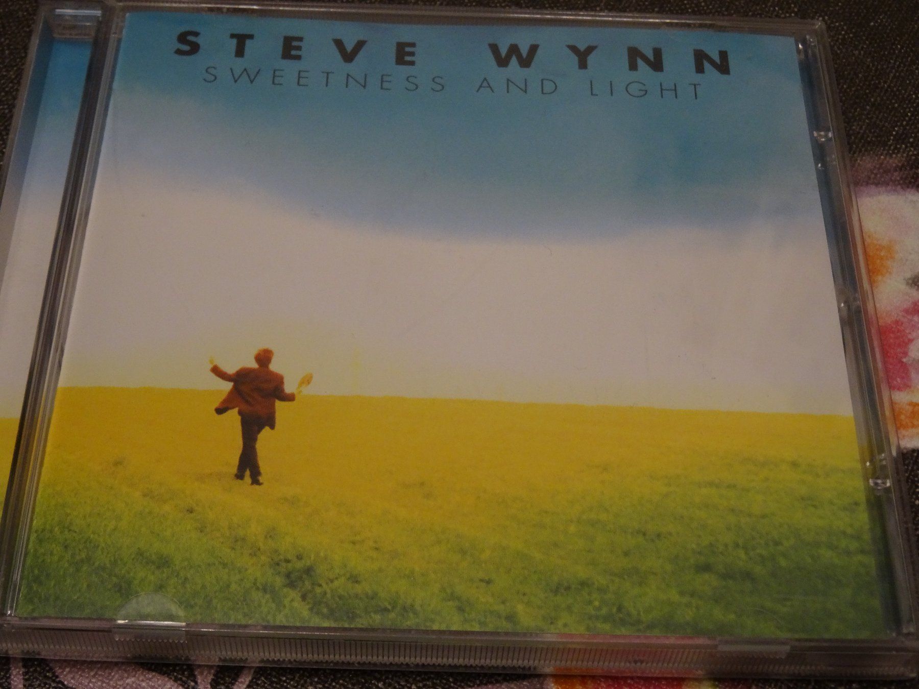 CD: Steve Wynn - Sweetness and Light CD – Usato da Olten venduto da Disc-Ausverkauf