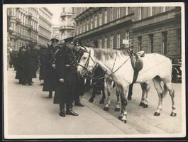 Fotografie Wien, Polizei / Polizisten be