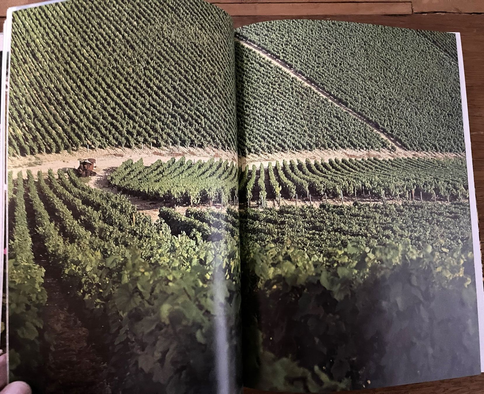 Libri: Silva Verlag, Burgund , 1980 – Usato da Oftringen venduto da Vucki 5
