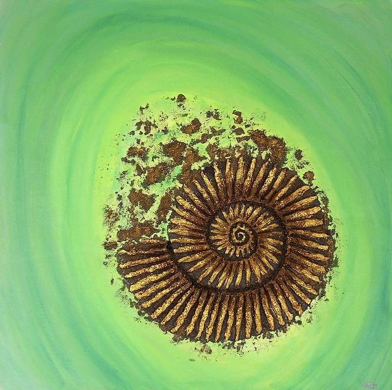 Dipinti: Acrybild Ammoniten – Usato da Romanshorn venduto da Besan