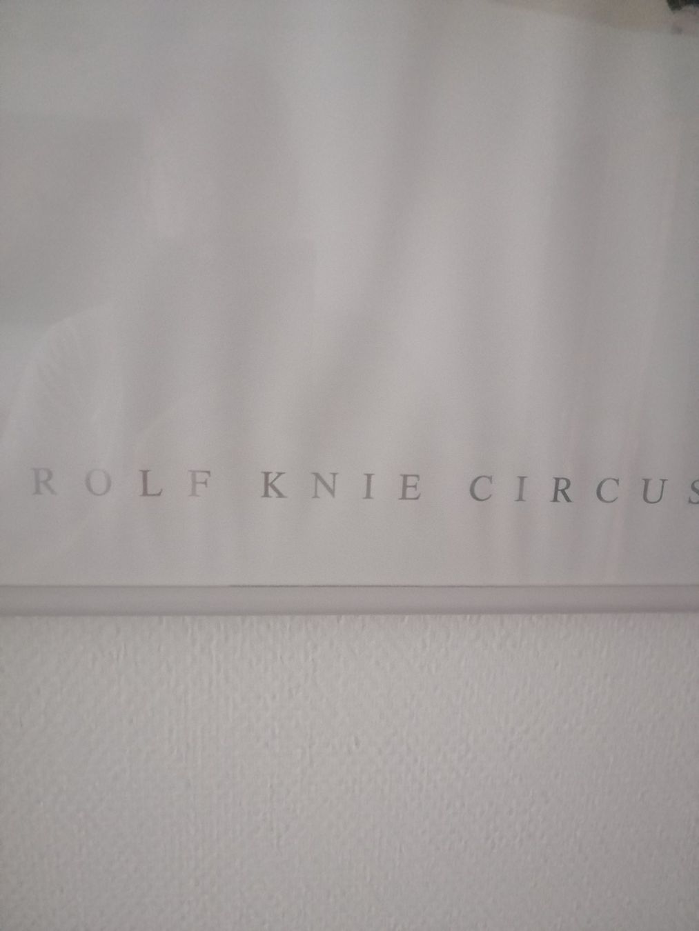 Foto & Immagini: Bild von Rolf Knie: Charlie – Usato da Hinterkappelen venduto da 1399 2