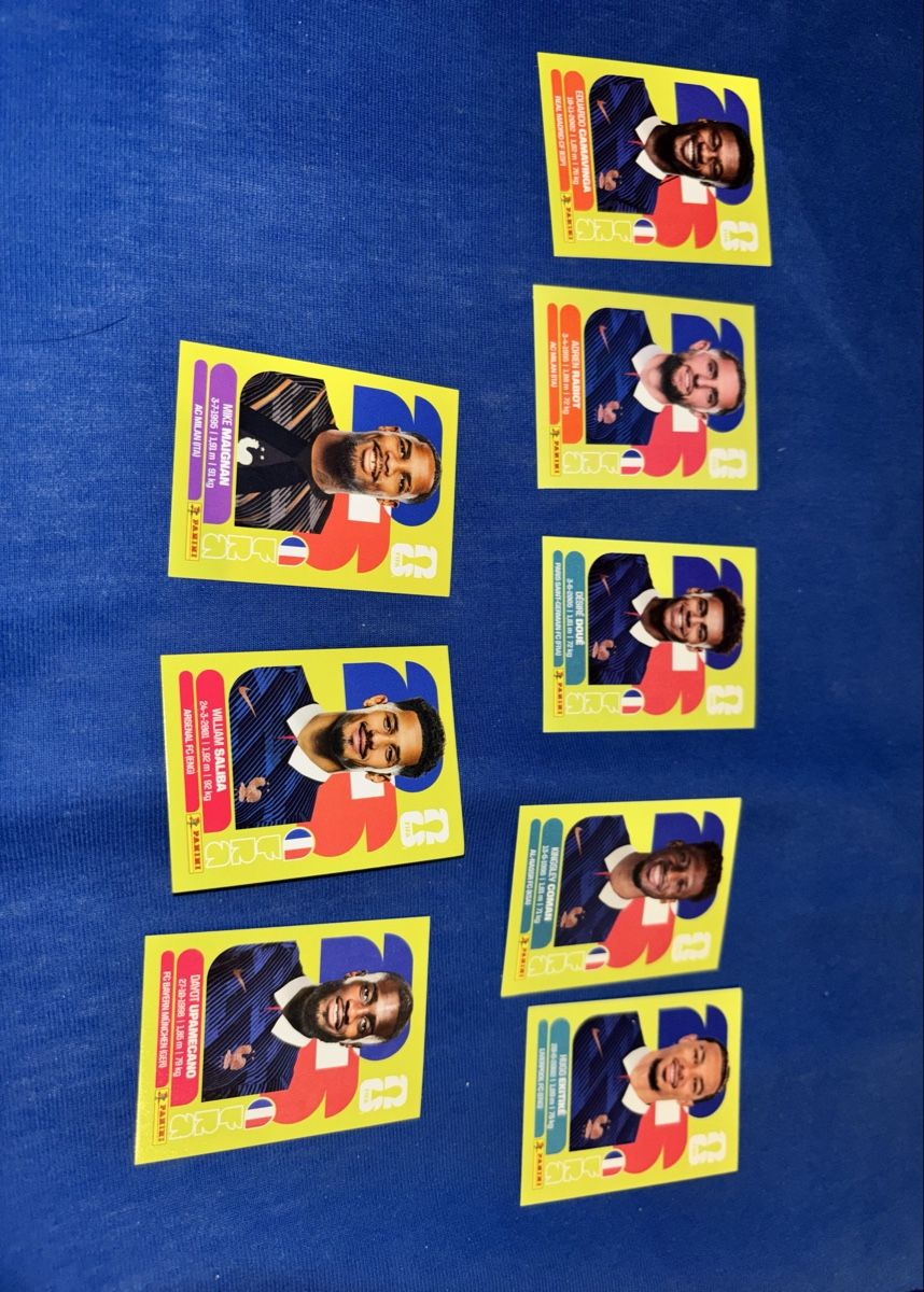 Panini Carte collezionabili: 8x frankreich team verschiedene panini – Nuovo (secondo la descrizione) da Olten venduto da Melxnie_46