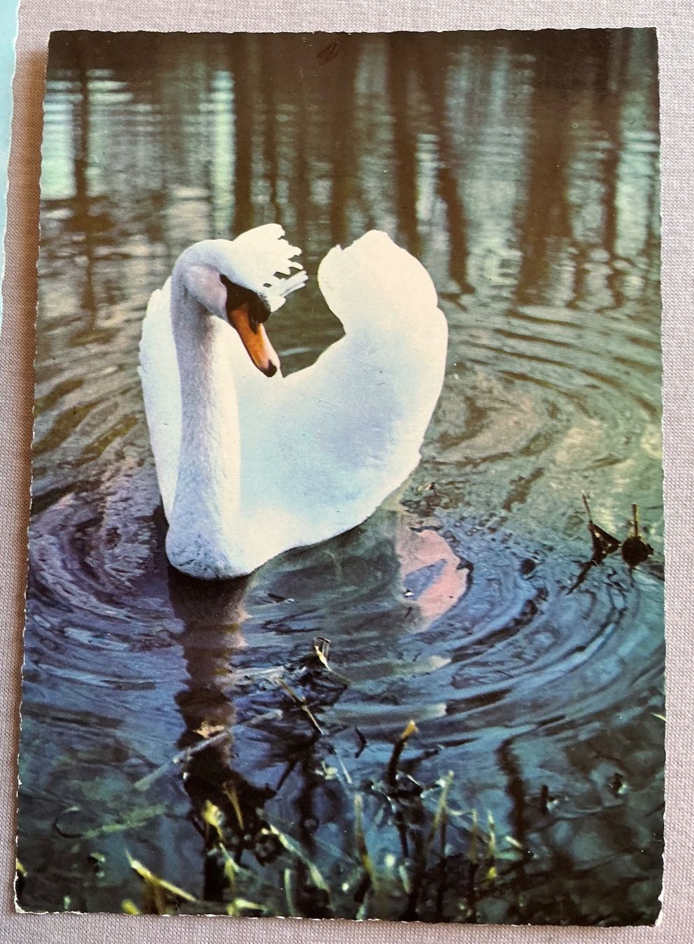 Cartes postales: Postkarten Ansichtskarten von Horst Müller Braunschweig ung. – D'occasion à Stettlen par togram4 3