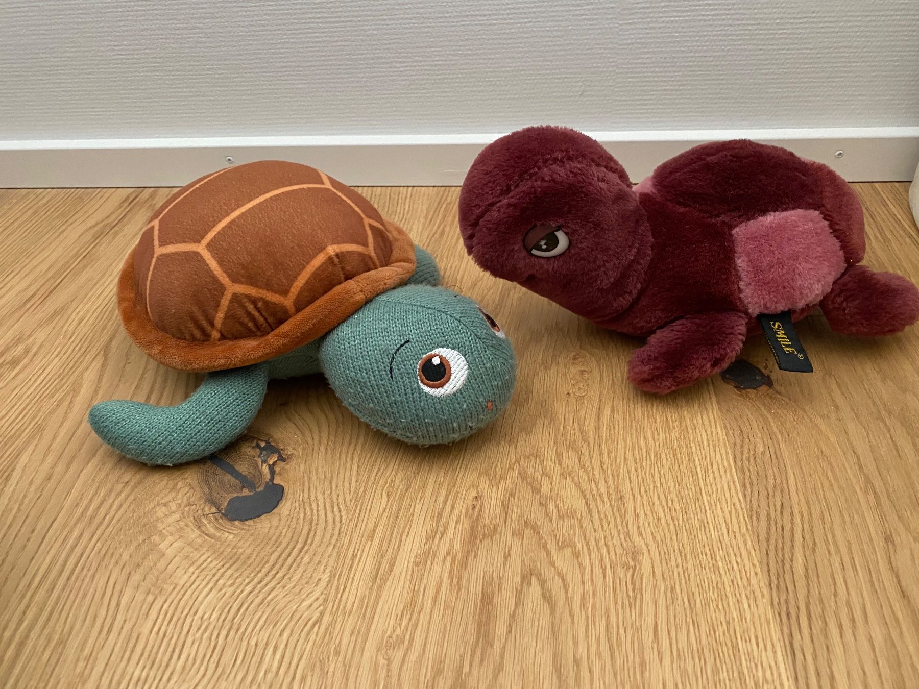 Coop Giocattoli: 2x Plüsch Schildkröte – Usato da Einsiedeln venduto da PaedeK84