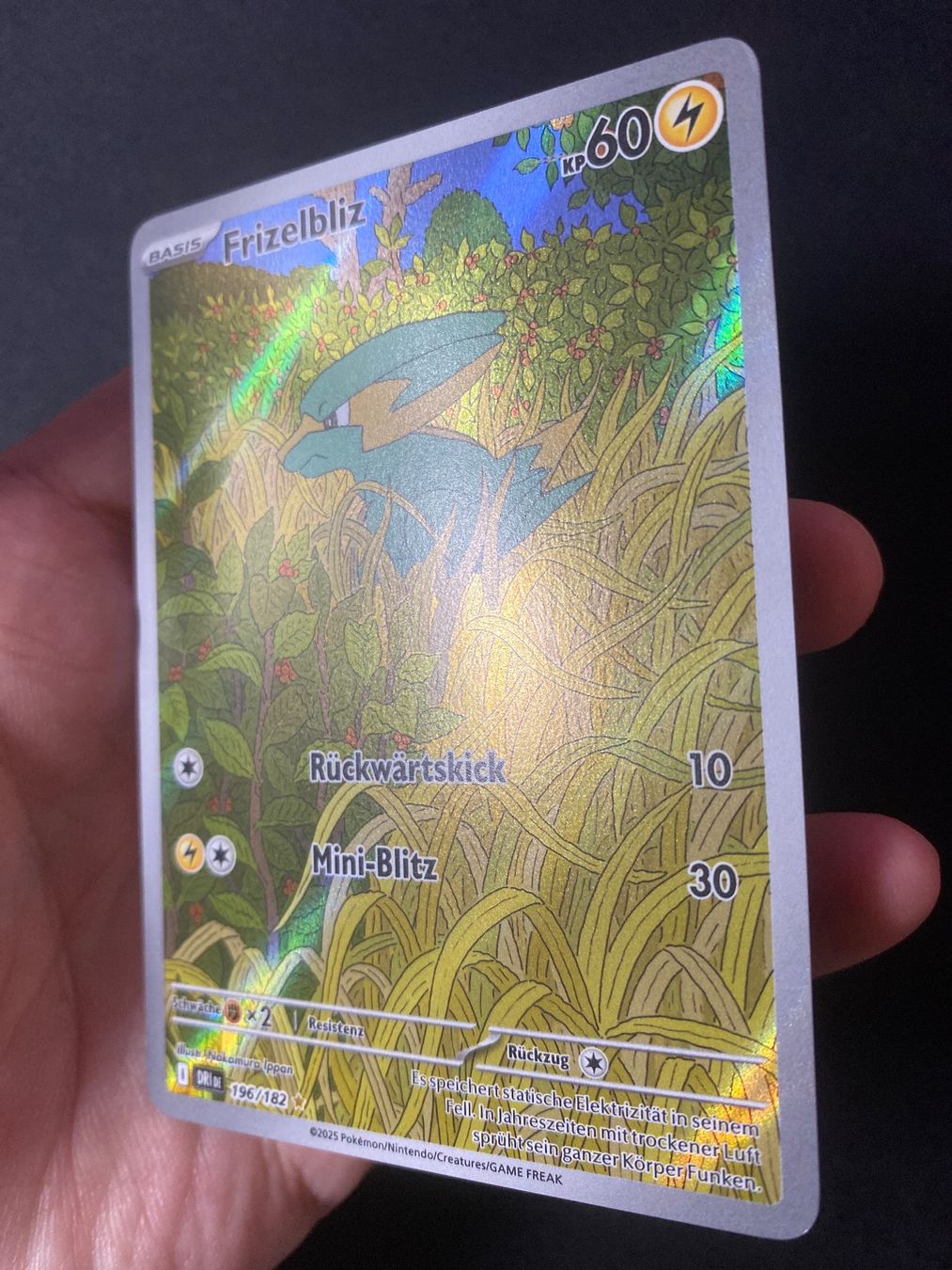 Pokémon Sammelbilder & Trading cards: Frizelbliz 196 - Electrike - Destined Rivals - DE – Neu (gemäss Beschreibung) aus Hausen AG von Shrade 1