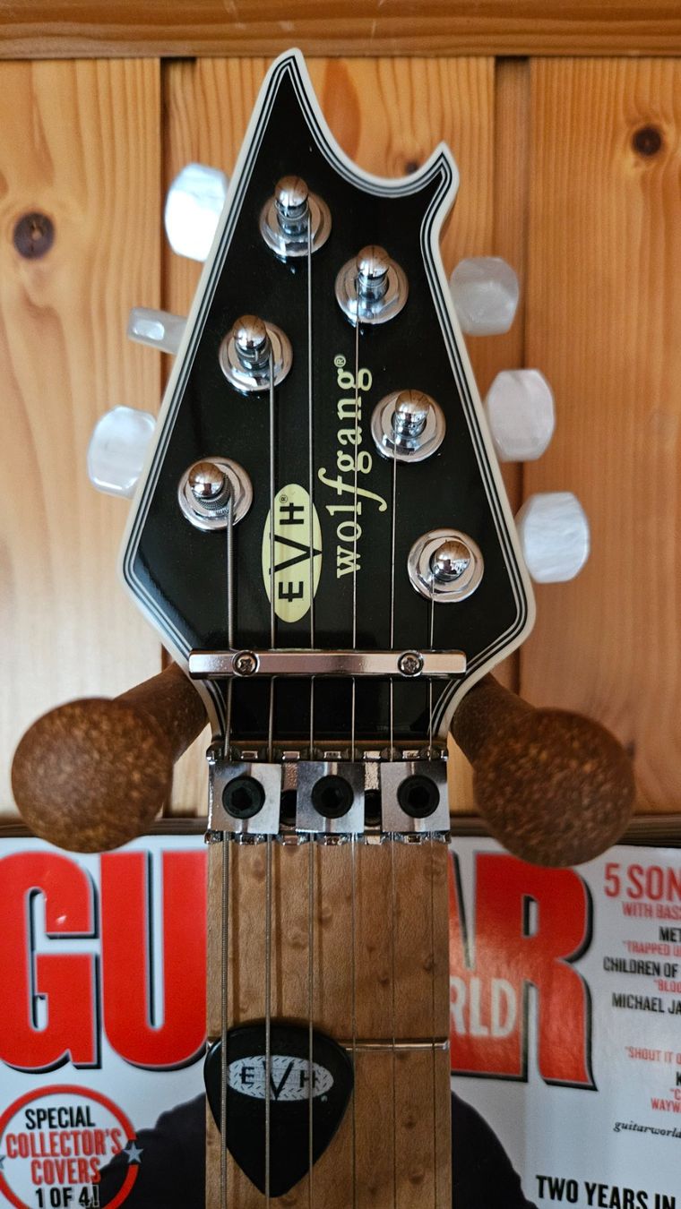 EVH Strumenti musicali: EVH Wolfgang USA Signed! – Usato da pieterlen venduto da AntonelloGuitars 2