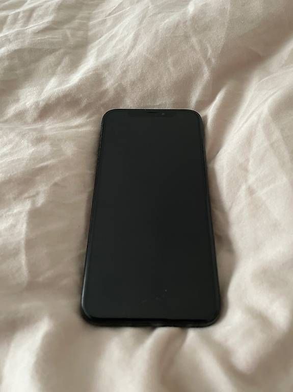 Apple Portables: Verkaufe gebrauchten iPhone X – D'occasion à Rickenbach Sulz par lin_tx6g 2