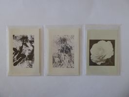 3 Trauer Doppelschreibkarten m. Couverts