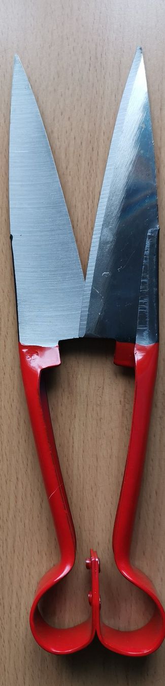 Alle Werkzeuge: Schere zum Scheren von Schafen – Neu (gemäss Beschreibung) aus Liestal von Ciccoo 1