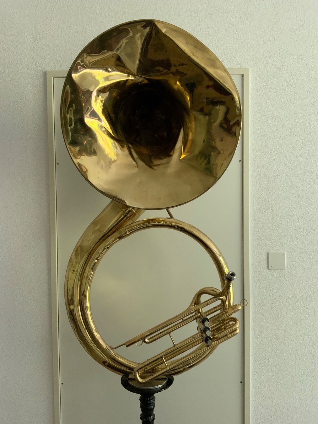 Sculture & Statue: Skulptur Tuba – Usato da Kreuzlingen venduto da son_8cwm