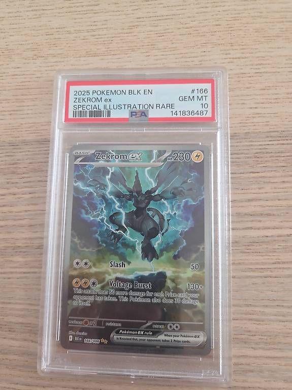 Carte collezionabili: Zekrom Ex - 166/086 - Black Bolt EN PSA 10 – Usato da Luzern venduto da heini81