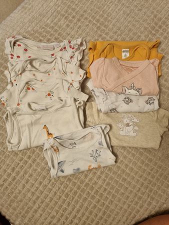 10 Baby Bodys kurzarm Gr. 56-68