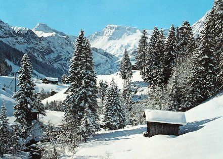 Cartoline postali: ADELBODEN Wintermorgen im Mühleweidli – Usato da Jona venduto da philajona