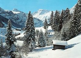 ADELBODEN Wintermorgen im Mühleweidli