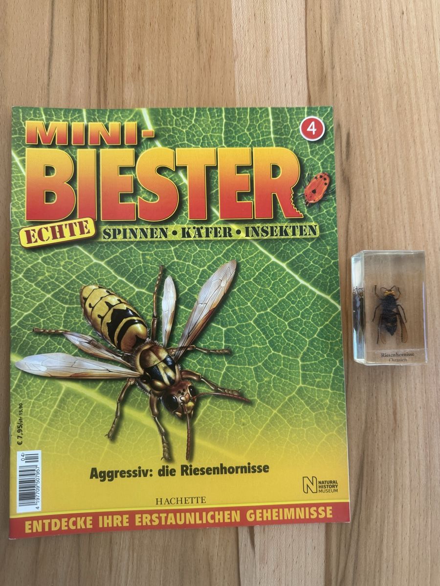 Riviste & Magazine: Mini Biester Heft und Block Nr. 4 – Usato da Grenchen venduto da Bastet007