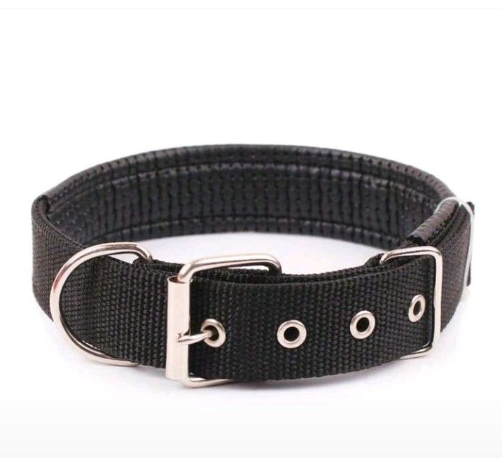 Guinzagli & Collari: Hundehalsband NEU Gr.L – Nuovo e nell'imballaggio originale da Oberhofen TG venduto da tryxta