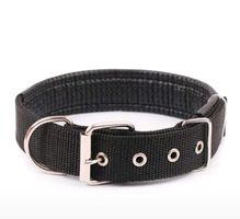 Hundehalsband NEU Gr.L
