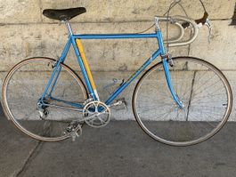 Rennvelo Santini blau mit Campagnolo Ausstattung c-c 56cm
