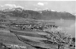 Vevey, Vue generale et les Alpes Vaudoises