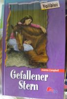 gefallener stern