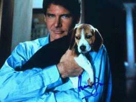 == ACHTUNG == Harrison Ford - TOP AUTOGRAMM