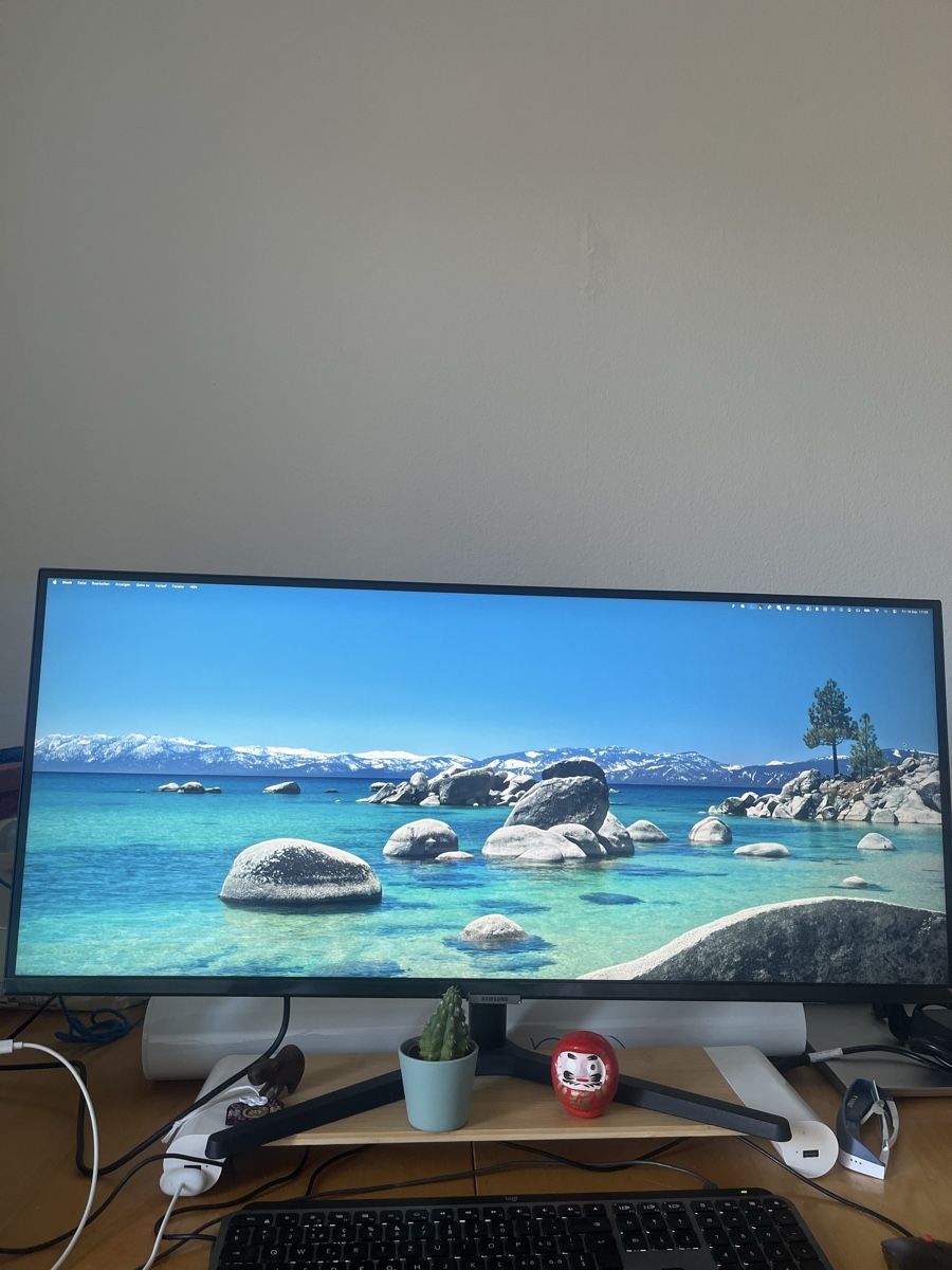 Monitor: Samsung Viewfinity S5 34‘ – Usato da Zürich venduto da smcepeda93