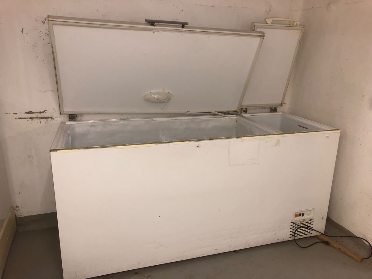 Congélateurs: freezer – D'occasion à Luzern par ann_9bld