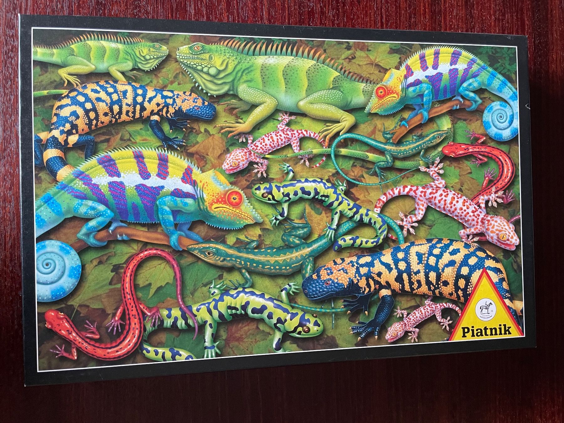 Puzzle: Puzzle Salamander, 1000 Teile, komplett! – Usato da Uster venduto da bea_jj5h