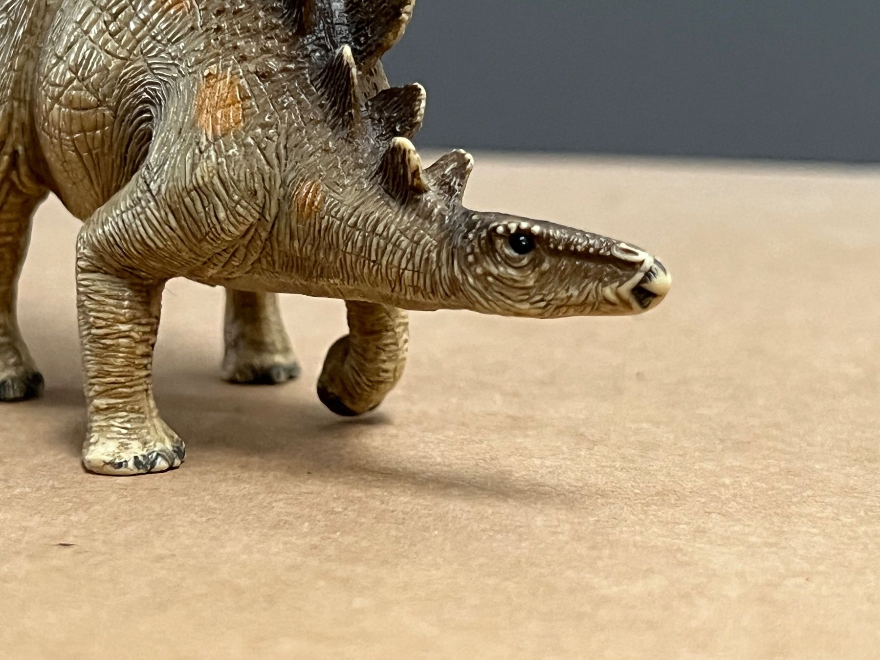 Schleich Statuette: Schleich 14520 Stegosaurus Dinosaurier Dino – Usato da Ennetbaden venduto da mapa05 3