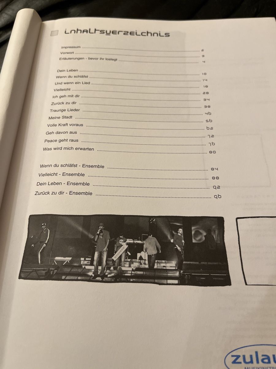 Libri: Songbook Söhne Mannheims – Usato da hunzenschwil venduto da Oldipark 1