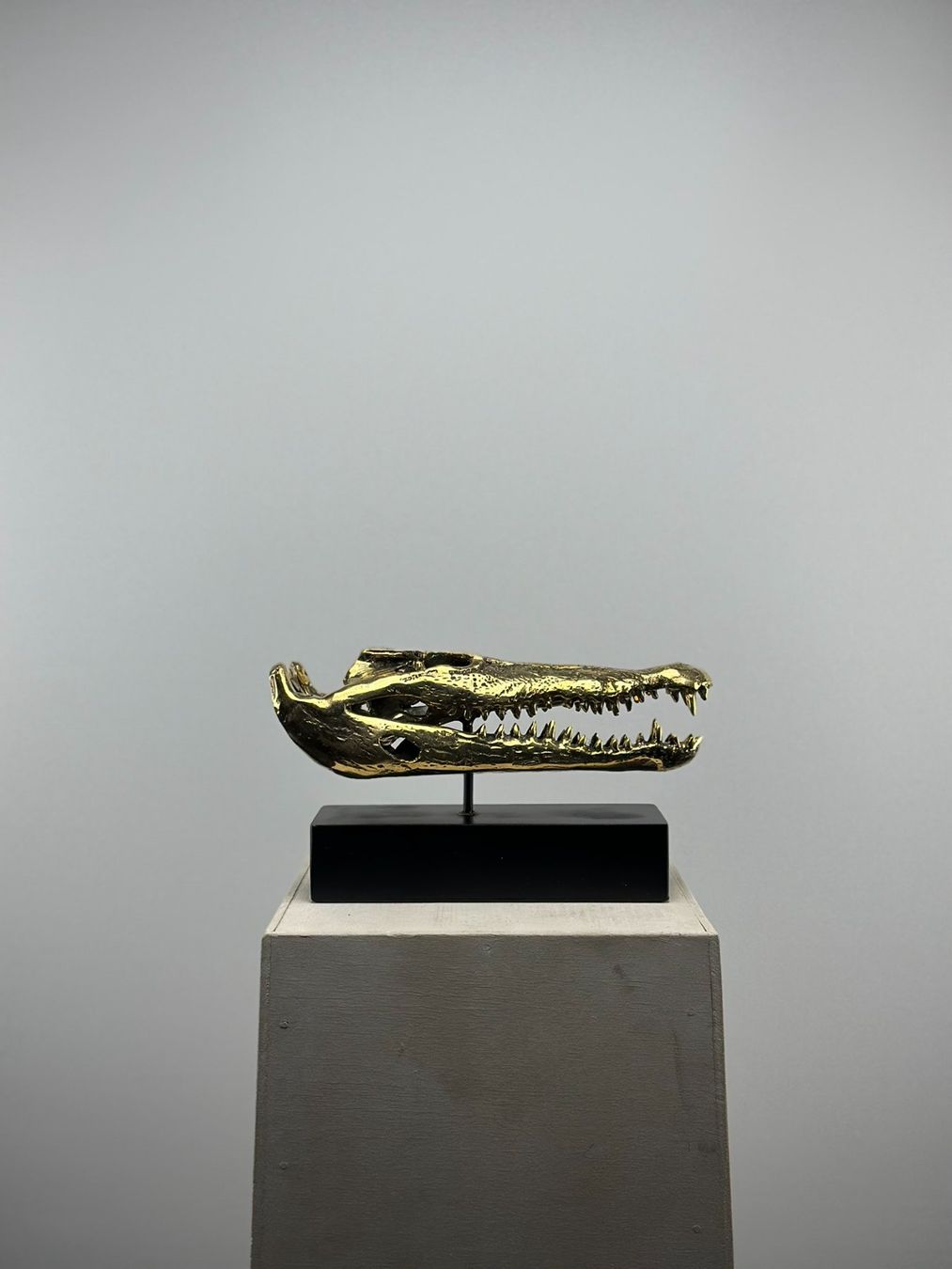 Skulpturen & Statuen: Crâne de Crocodile en Bronze 23 cm – Neu (gemäss Beschreibung) aus Lausanne von Toko_Lausanne 2