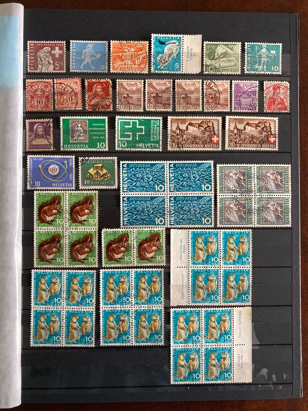 Tutti i francobolli: Alte Schweizer Briefmarken, mit Stempel – Usato da Bachenbülach venduto da poschte22