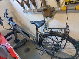Bergamont Vitesse N8 Fahrrad Grau Damenrad 