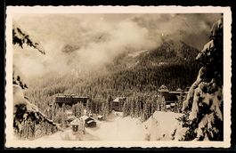 AK Arosa, Winteransicht mit Hotels und verschneitem Wald
