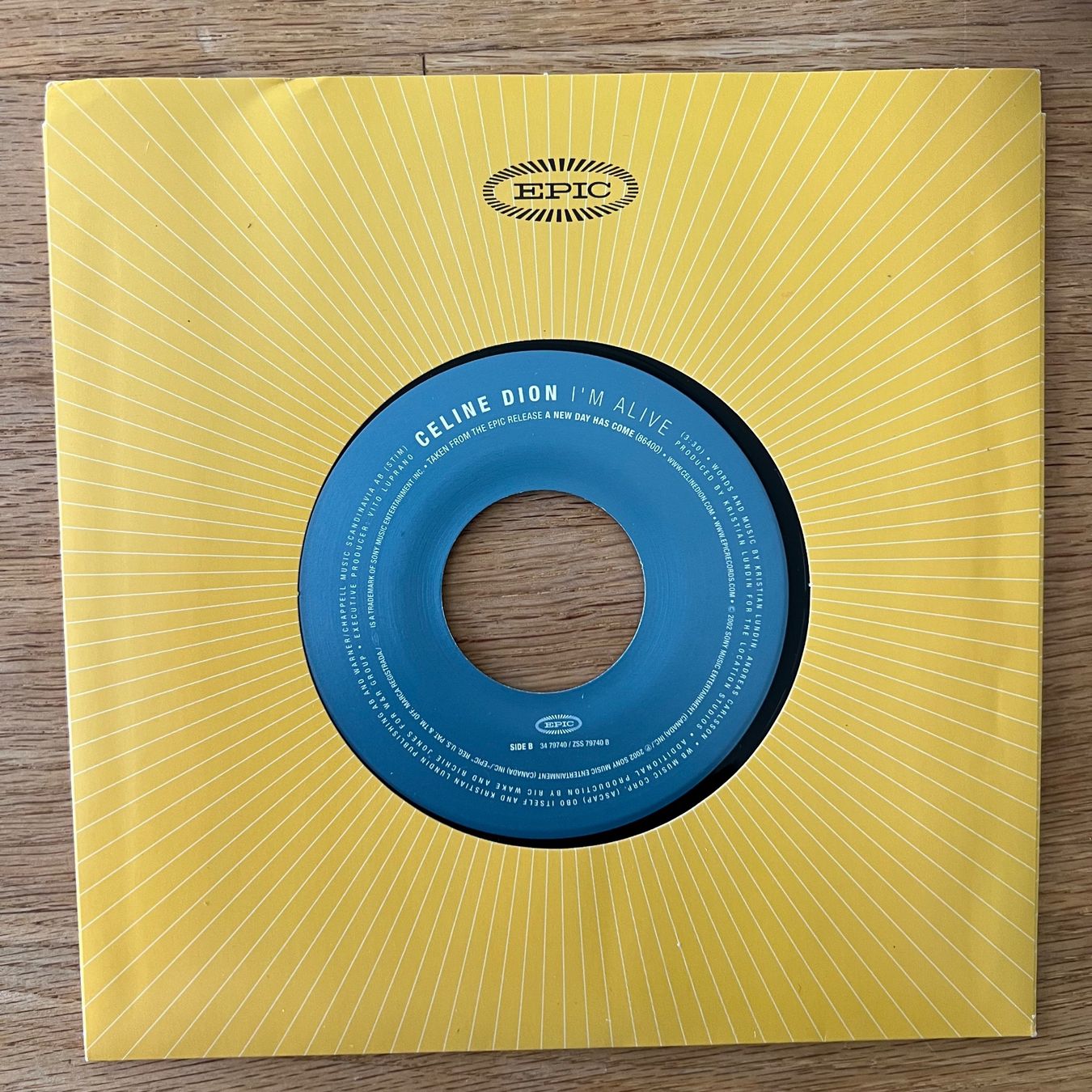 Dischi in vinile: Céline Dion - A New Day Has Come /US-Press. 2002 Juke Box Ed – Usato da Gais venduto da soundcave57