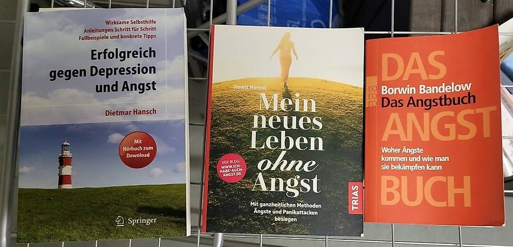 Livres: Ratgeber zum Thema Angst – D'occasion à Lyss par Petrulla02