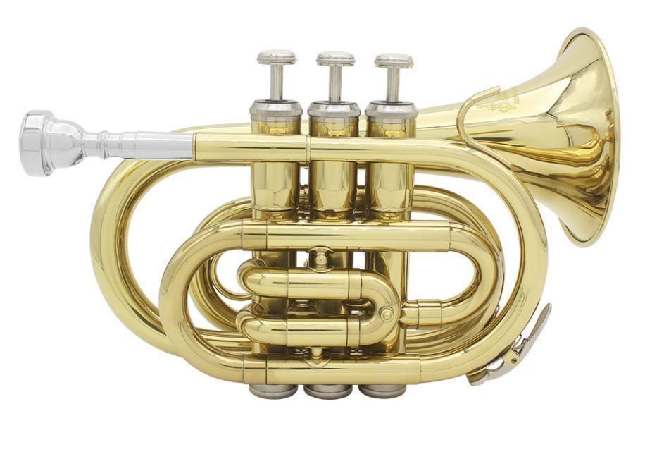 Strumenti musicali: Mini Taschentrompete – Nuovo (secondo la descrizione) da Chur venduto da _xtronix_ 1